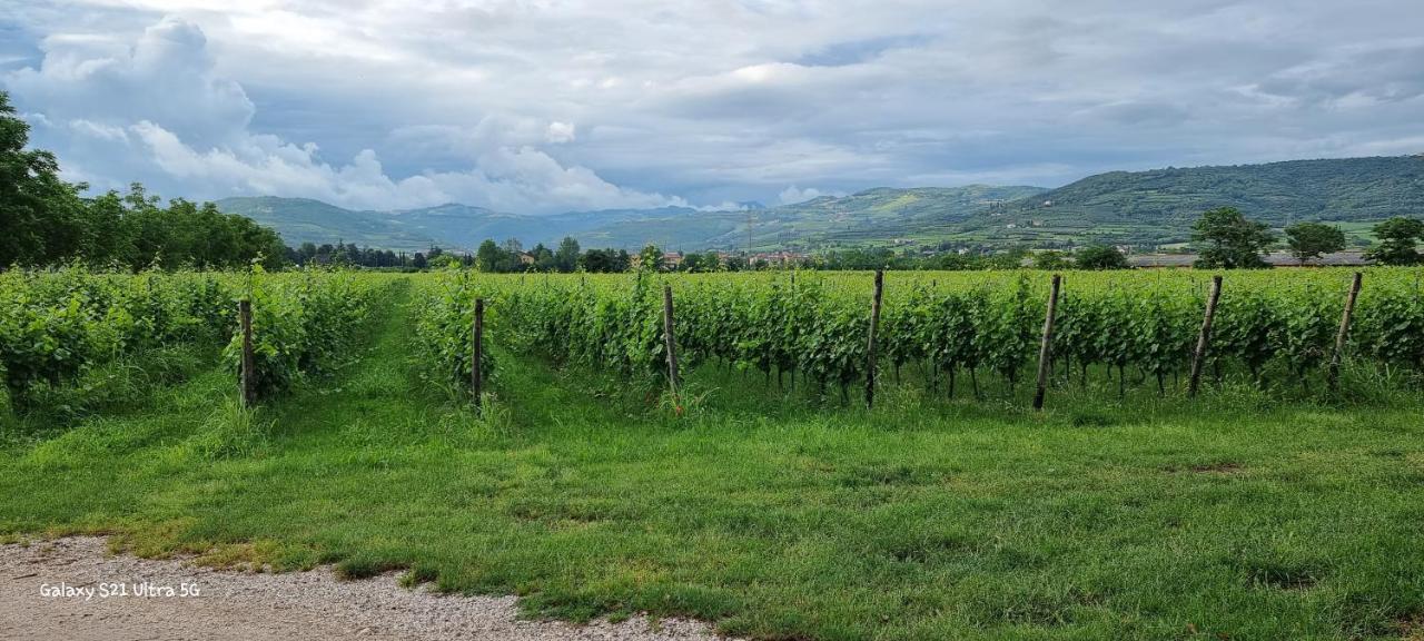 Agriturismo Alle Albare Montorio Veronese Экстерьер фото