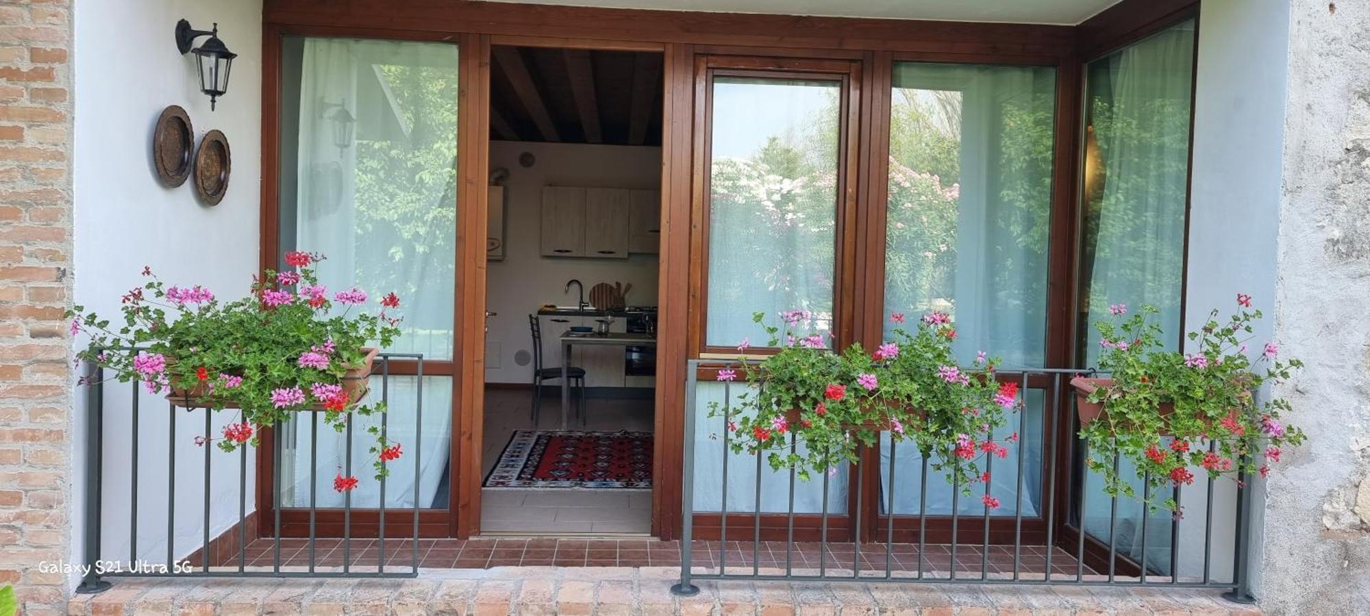 Agriturismo Alle Albare Montorio Veronese Экстерьер фото